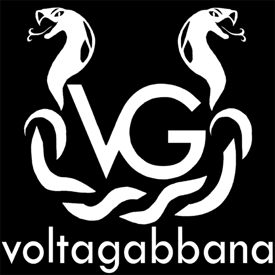 DECADENZA DAL MANDATO PER I&nbsp;VOLTAGABBANA