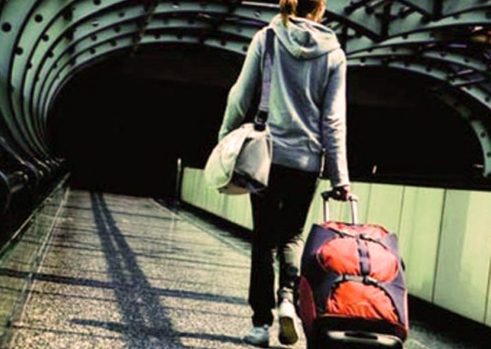 Gli italiani in Germania: ancora un Reservarmee per il mercato del lavoro tedesco?