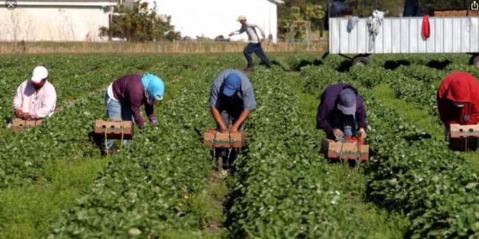 Giorgio Cremaschi – “Il Salario minimo orario di legge è giusto, ma può finire male. Mobilitiamoci”
