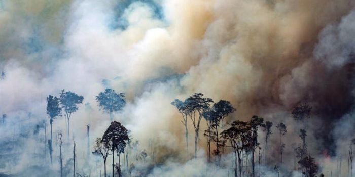 Il G7 approfitta degli incendi per provare a internazionalizzare l’Amazzonia?