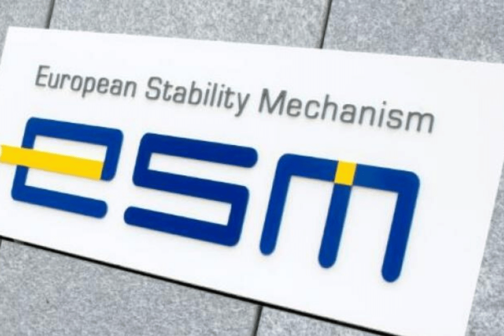 MES: Una riforma inutile e&nbsp;dannosa