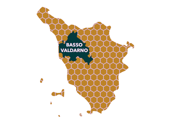 L’aziendalizzazione delle politiche di gestione del Servizio Idrico Integrato: il caso del Basso&nbsp;Valdarno