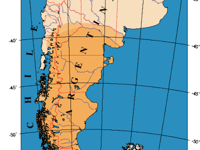 Terra, Capitale e Diritti Negati: la Disputa tra i Mapuche e la Famiglia Benetton in&nbsp;Patagonia
